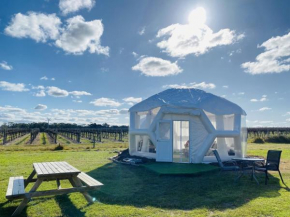 Coonawarra Hampton Bubble 1